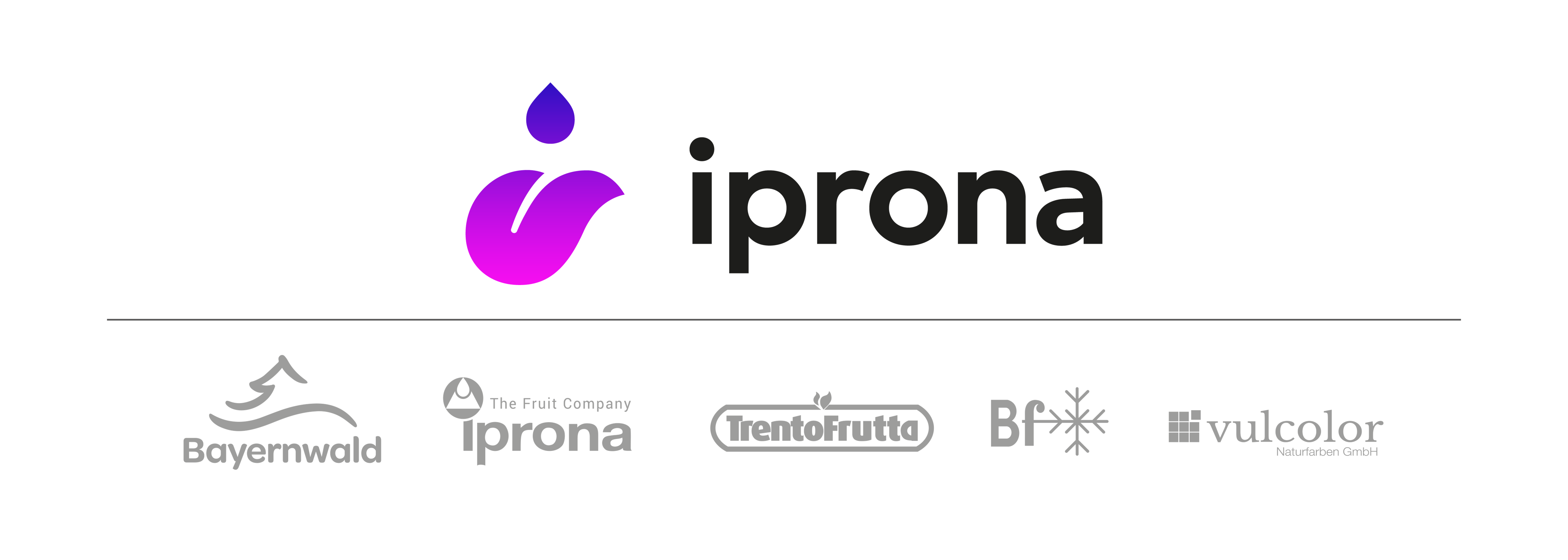 IPRONA Logo